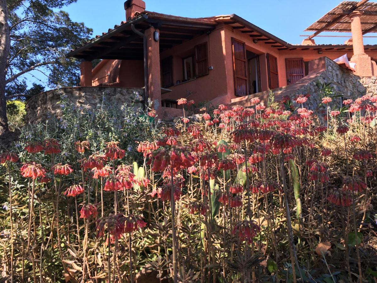 Casa Diana Bed & Breakfast Isola di Giannutri Exterior foto